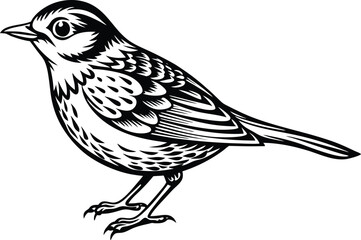 bird.eps