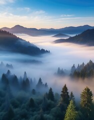 Obraz premium Dawn Fog Enveloping a Mountain Valley with Pine Tree Tops and Distant Peaks Emerging from the Thick Mist Creating a Serene and Enigmatic Morning Scene Graphic Art Illustration