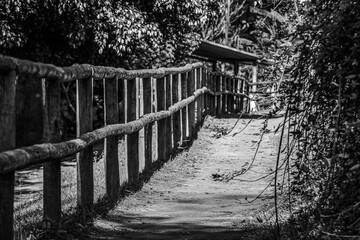 Caminho com c&ecirc;rca