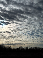 Dramatic Sublime Clouds Over a Winter Forest