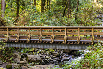 Scenic Wooden Bridge Over a Creek in Lush Forest, Mission, British Columbia, Canada