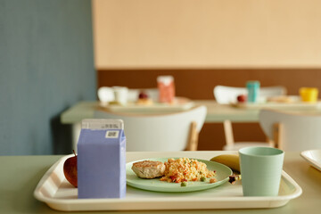 Background shot of freshly prepared lunch consisting of millet porridge, chicken cutlet served on plate next to pack of milk and fruits on tray standing on dining table in school cafeteria, copy space