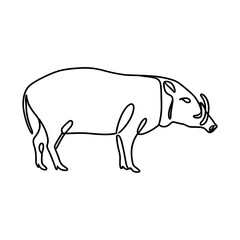 Obraz premium Babirusa Line Art