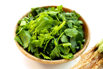 Fresh organic coriander, vegetables and herbs