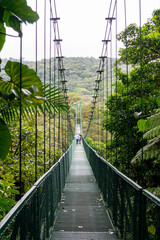 suspension bridge in the rainforest