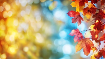 A beautiful autumn scene featuring colorful leaves on the right side, with ample space on the left for text. Perfect for fall-themed designs, nature, and seasonal content.