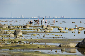 Russia. Saint-Petersburg. Townspeople relax on the shore of the shallow Gulf of Finland.