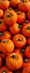 Halloween pumpkins background with bright orange fall harvest and autumn decoration for holiday