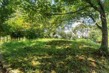 Fototapeta premium 千葉県我孫子市白山3丁目、根戸古墳公園