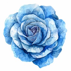 Obraz premium Watercolor Blue Rose Isolated on White Background. Beautiful Rose Flower