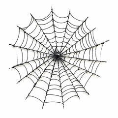 Obraz premium A spider web isolated on white background