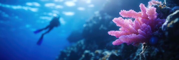 Obraz premium A scuba diver is captured exploring a vibrant coral reef underwater. The clear blue water and colorful coral formations create a stunning, serene underwater world.