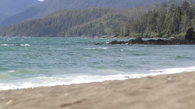 Wild Ocean Landscape Videography
