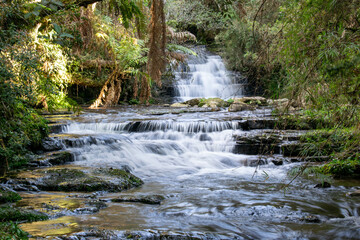 waterfall in the forest