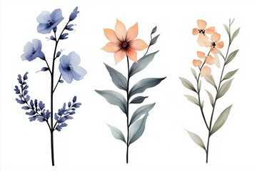 Obraz premium set of flowers