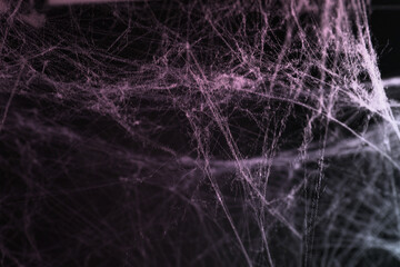 Cobweb against black background, toned in gradient red color