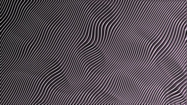 Abstract Wavy Lines Pattern Animation Loop. Dark Purple Striped Pattern Animation.