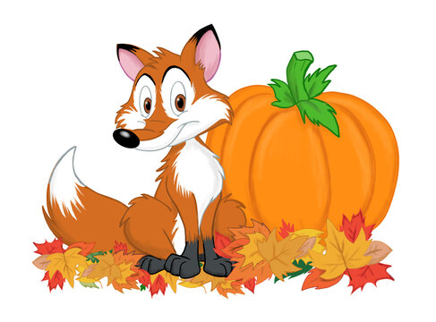 Autumn Fox sitting with a Pumpkin  in a pile of leaves