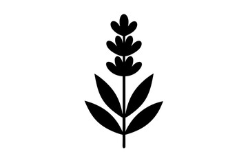 silhouette of a flower