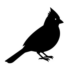 silhouette of a crow