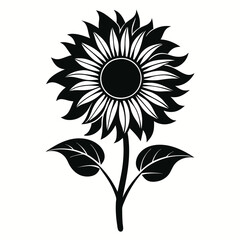 sunflower isolated on white