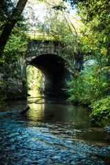 Historic Stone Bridge Over a Serene Forest River