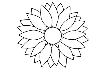 Sunflower, Sunflower outline. Vector illustration.