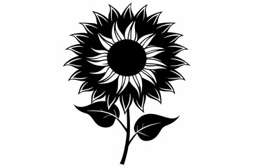 Sunflower, Sunflower outline. Vector illustration.