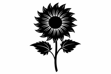 Sunflower, Sunflower outline. Vector illustration.