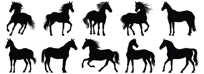 Horse silhouette set vector design big pack of animal illustration and icon