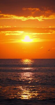Golden summer sunrise over calm sea waves. Exotic ocean sunset vertical nature video