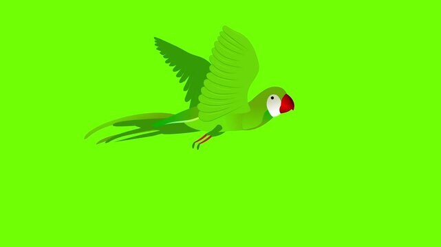 Parrtot flying animation
