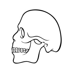 skull line vector illustration