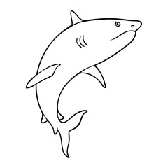 shark outline vector illustration