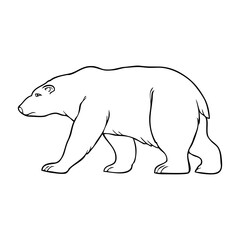 bear line vector illustration