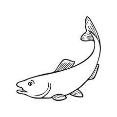 fish line vector illustration