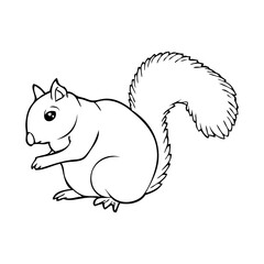 squirrel line vector illustration