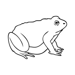toad line vector illustration