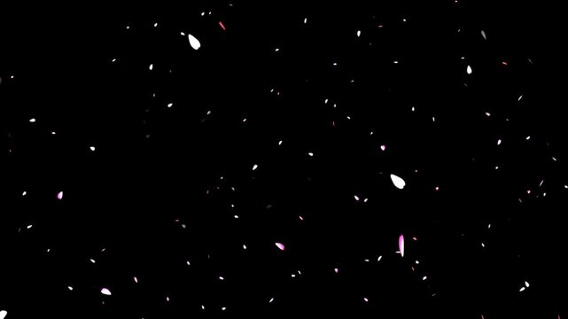 Pink cherry petals falling and flying away on black gradient background. Watercolor cherry blossoms.
Cherry blossom petals flutter down, ink cherry petals. Realistic falling blossoms,