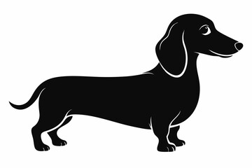 Dachshund dog silhouette, Dachshund icon, Vector black silhouette.