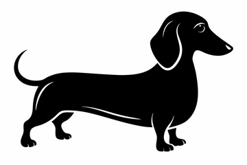 Dachshund dog silhouette, Dachshund icon, Vector black silhouette.