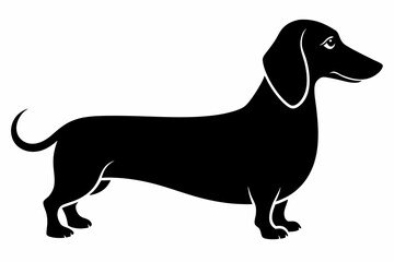 Dachshund dog silhouette, Dachshund icon, Vector black silhouette.