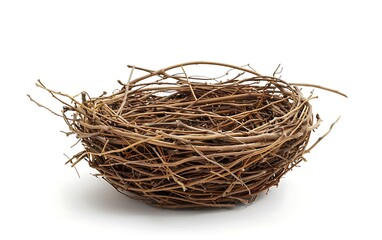 Obraz premium Ebrace nest isolated on white background. 3D rendering.