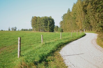 rocky road for passing meadows in the forest with a fence on a sunny evening