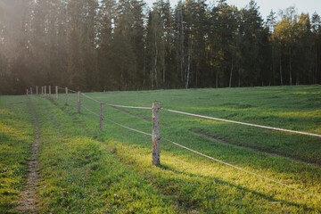 a large plot of meadow with a wooden fence in sunny summer weather © Alina 