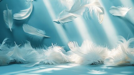 A tuft of white feathers is scattered on a blue background.