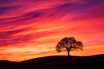 Obraz premium A lone tree stands in silhouette against a vibrant sunset, symbolizing strength, resilience, hope, peace, and the beauty of nature.
