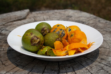 Tucumã _ astrocaryum aculeatum