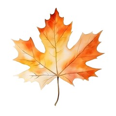 Obraz premium Vibrant Autumn Maple Leaf Watercolor on White Background