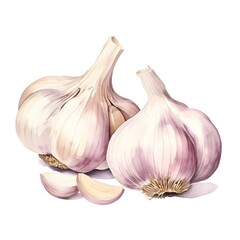 Obraz premium Watercolor of Fresh Garlic Cloves on White Background